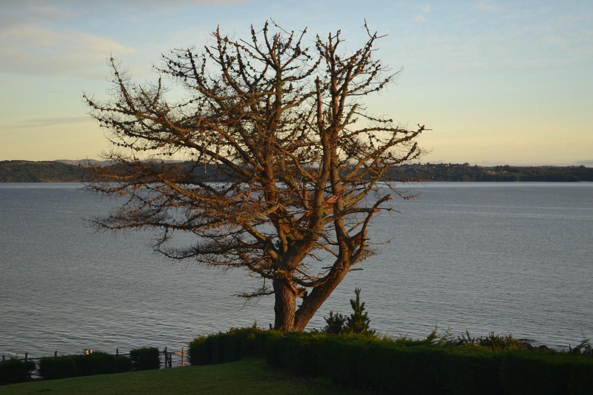 Panamericana Hotel Ancud Eksteriør billede